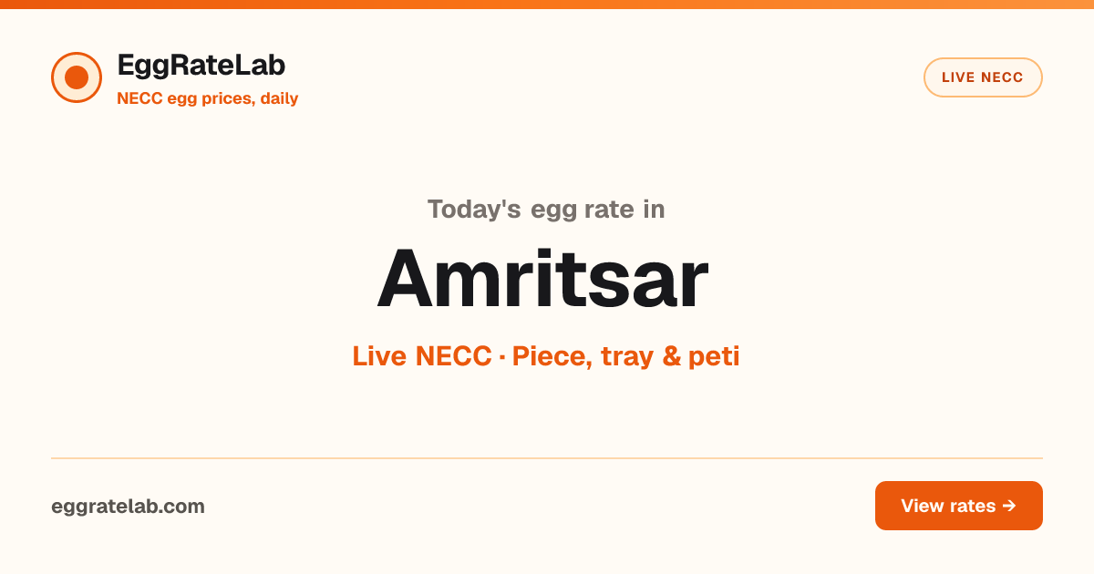 Today Egg Rate in Amritsar: Live NECC Egg Price