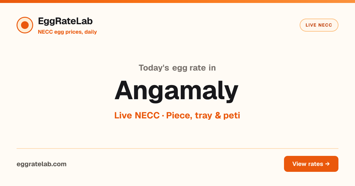 Today Egg Rate in Angamaly: Live NECC Egg Price