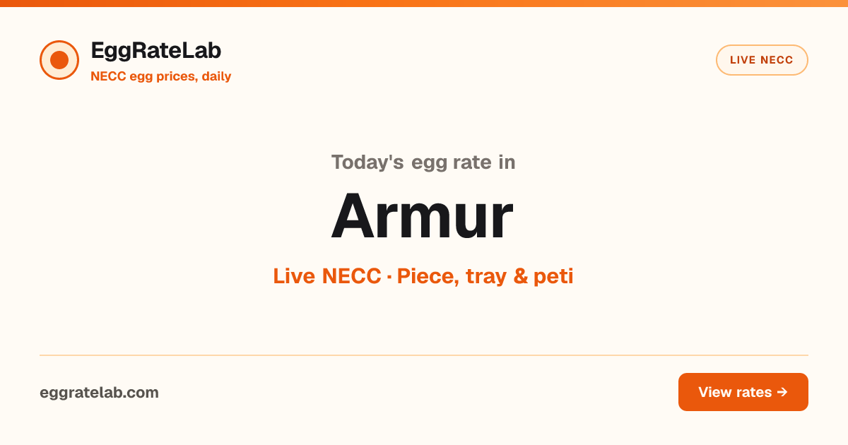 Today Egg Rate in Armur: Live NECC Egg Price