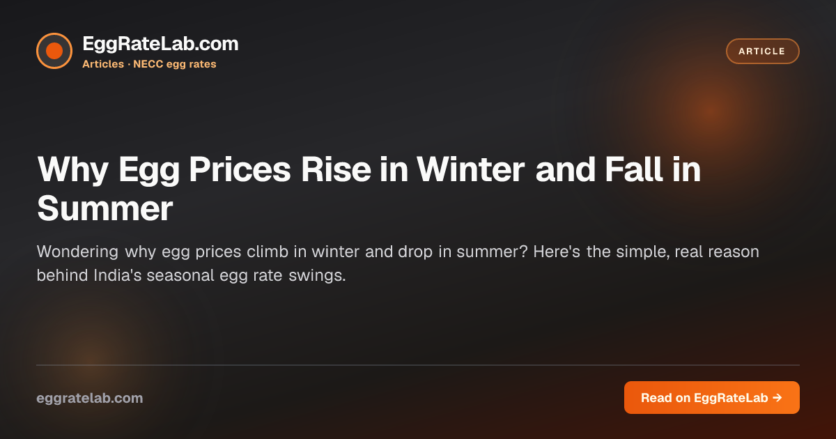 Why Egg Prices Rise in Winter and Fall in Summer