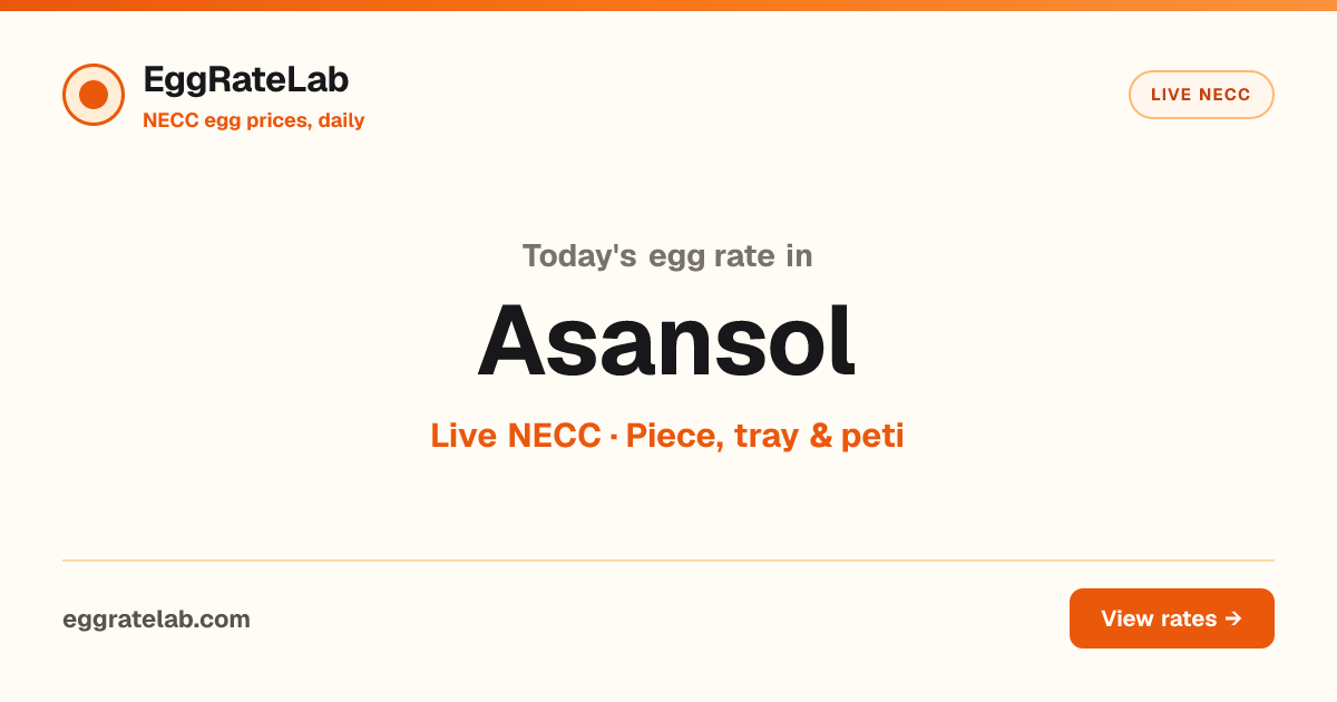 Today Egg Rate in Asansol: Live NECC Egg Price