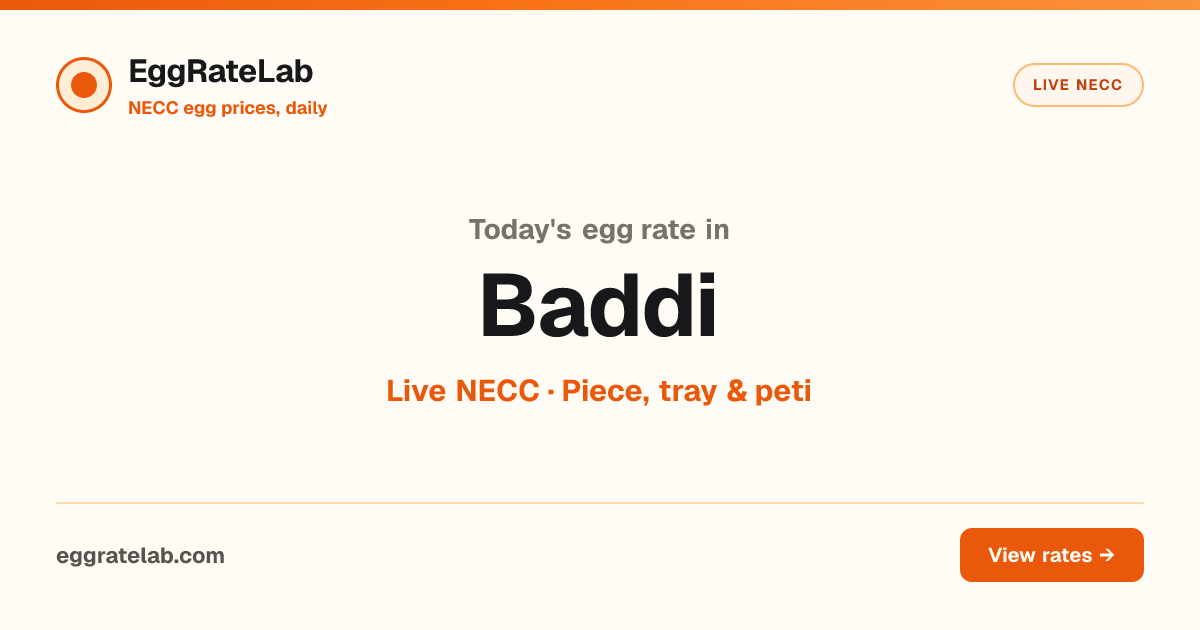 Today Egg Rate in Baddi: Live NECC Egg Price
