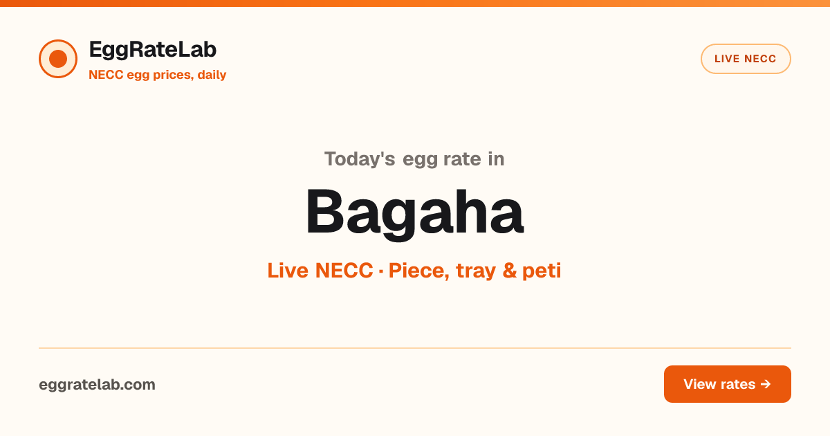 Today Egg Rate in Bagaha: Live NECC Egg Price