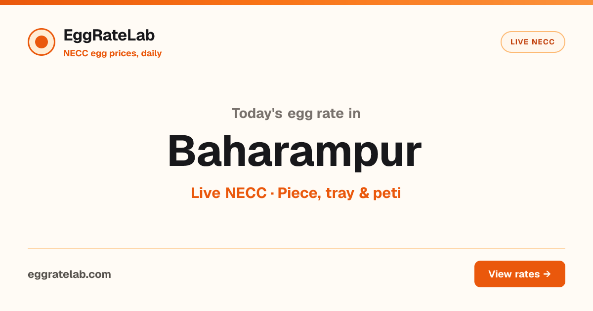 Today Egg Rate in Baharampur: Live NECC Egg Price