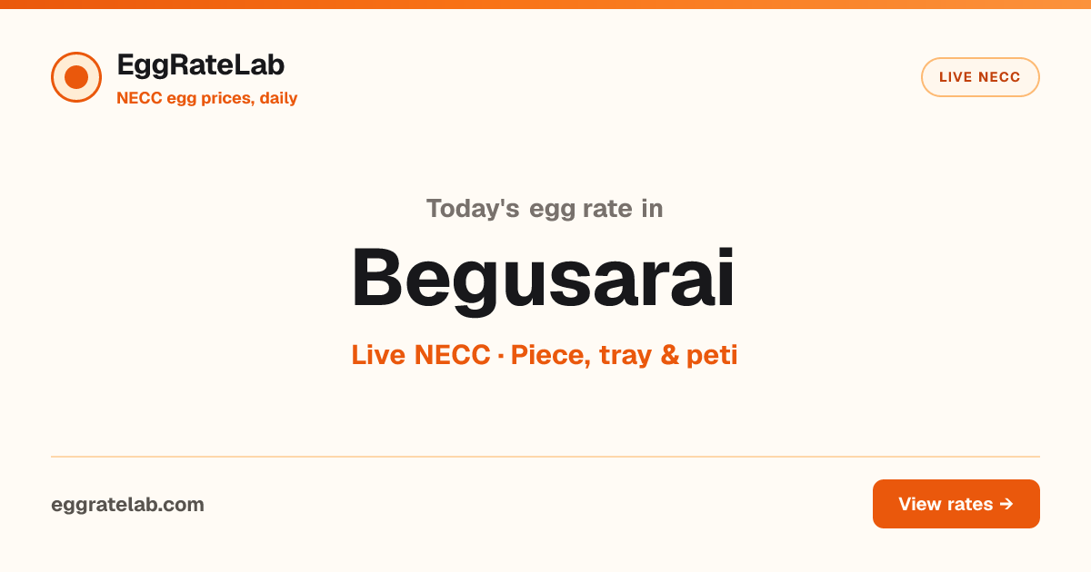 Today Egg Rate in Begusarai: Live NECC Egg Price