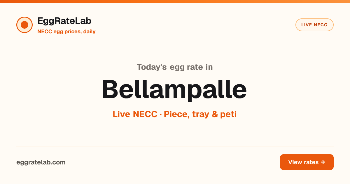 Today Egg Rate in Bellampalle: Live NECC Egg Price