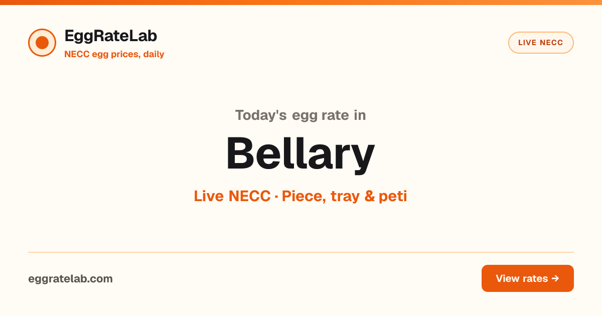 Today Egg Rate in Bellary: Live NECC Egg Price