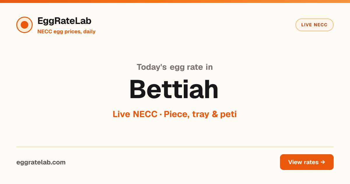 Today Egg Rate in Bettiah: Live NECC Egg Price