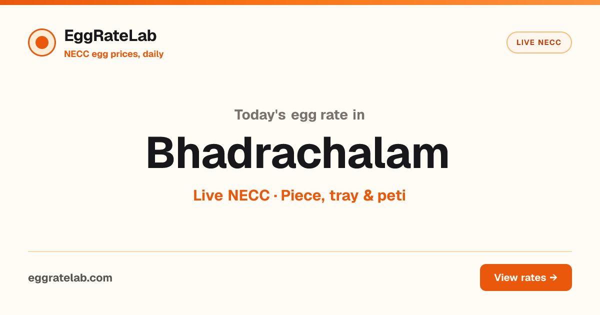 Today Egg Rate in Bhadrachalam: Live NECC Egg Price