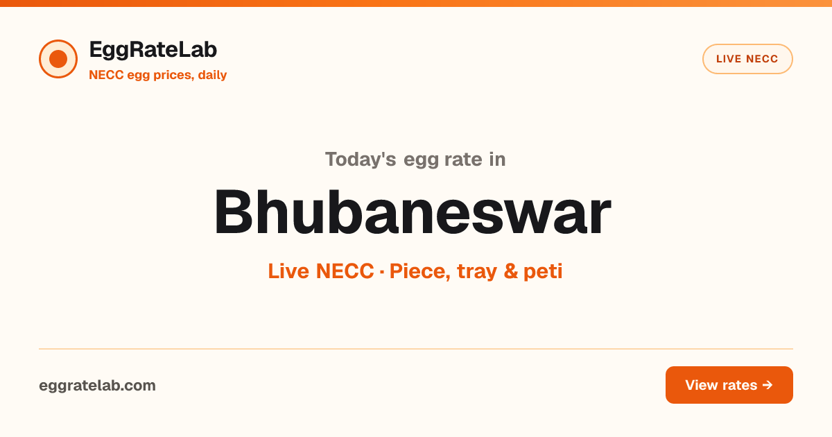 Today Egg Rate in Bhubaneswar: Live NECC Egg Price