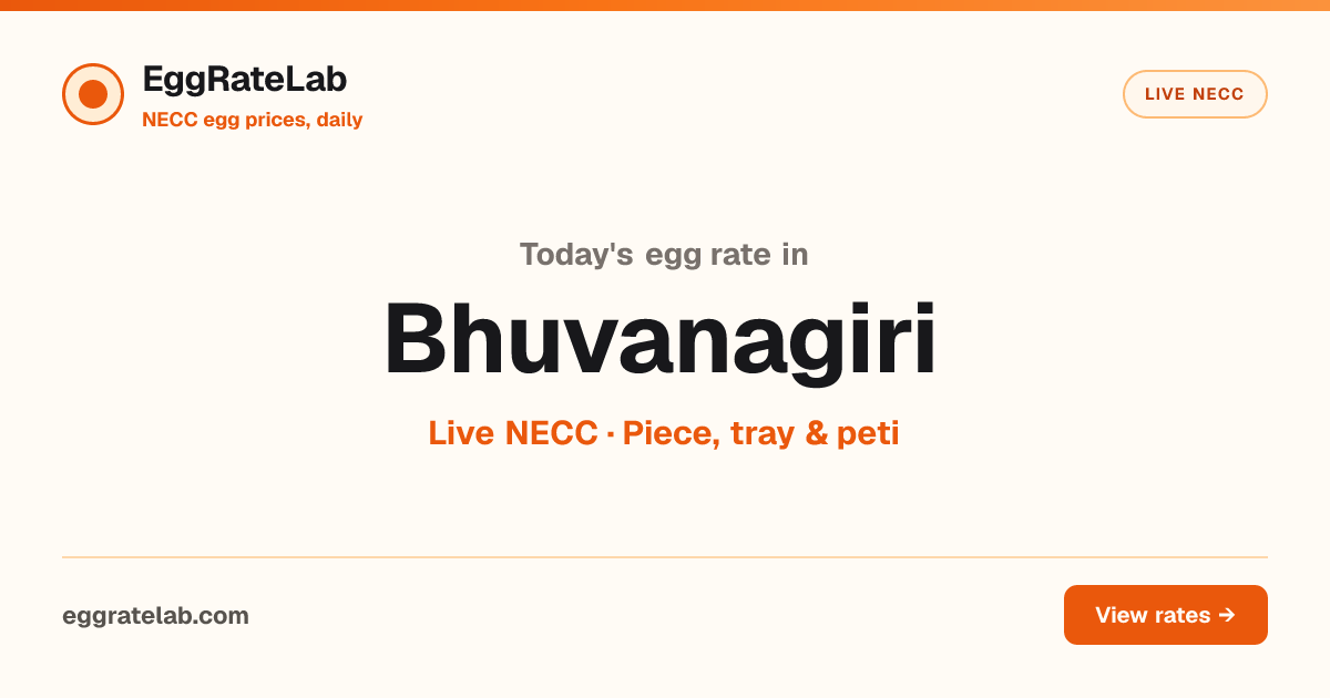 Today Egg Rate in Bhuvanagiri: Live NECC Egg Price