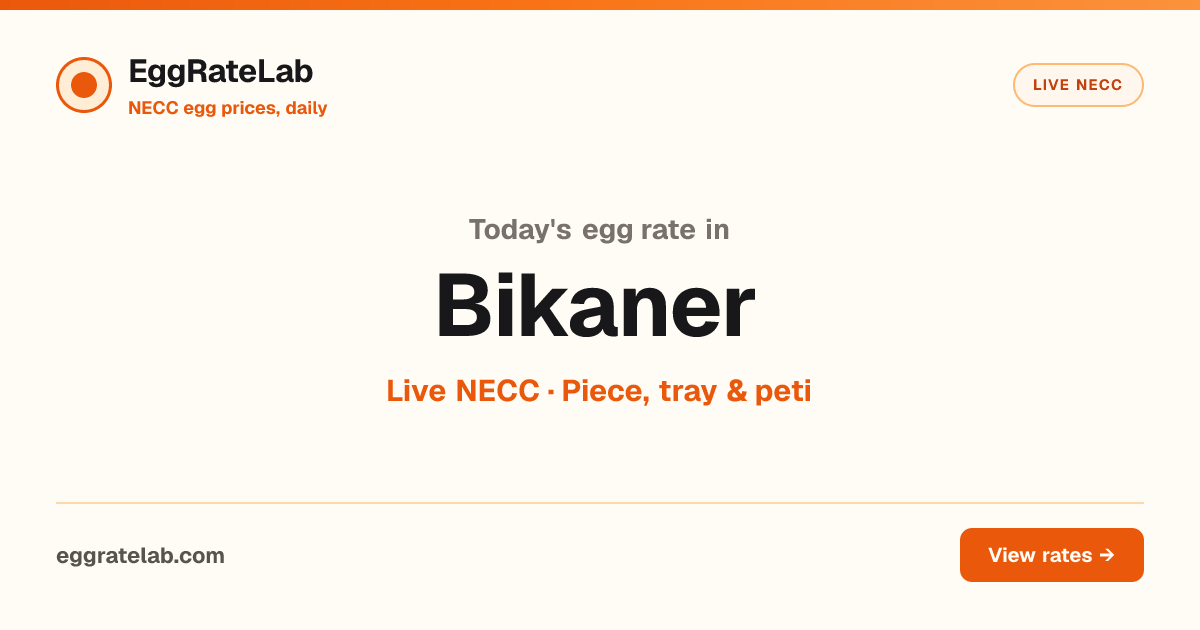 Today Egg Rate in Bikaner: Live NECC Egg Price