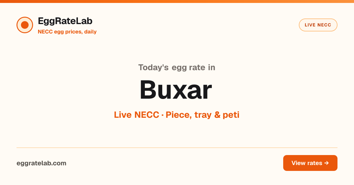 Today Egg Rate in Buxar: Live NECC Egg Price