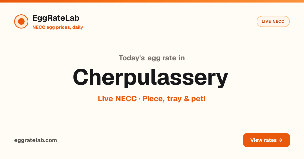 Today Egg Rate in Cherpulassery: Live NECC Egg Price