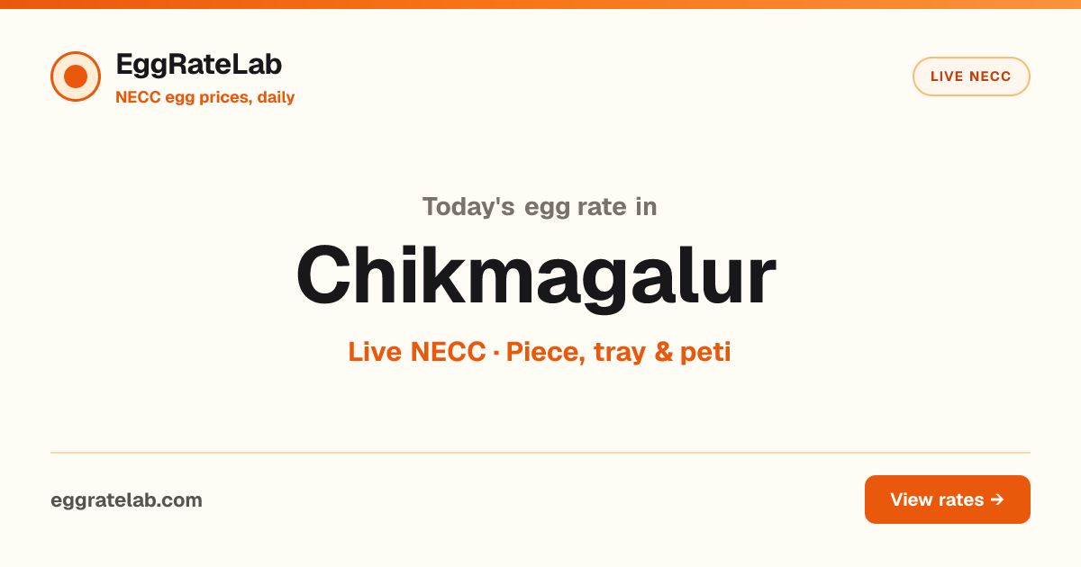 Today Egg Rate in Chikmagalur: Live NECC Egg Price