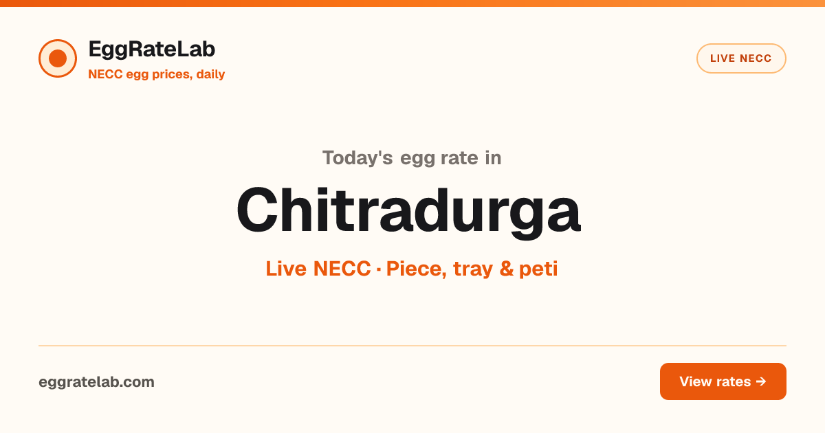 Today Egg Rate in Chitradurga: Live NECC Egg Price