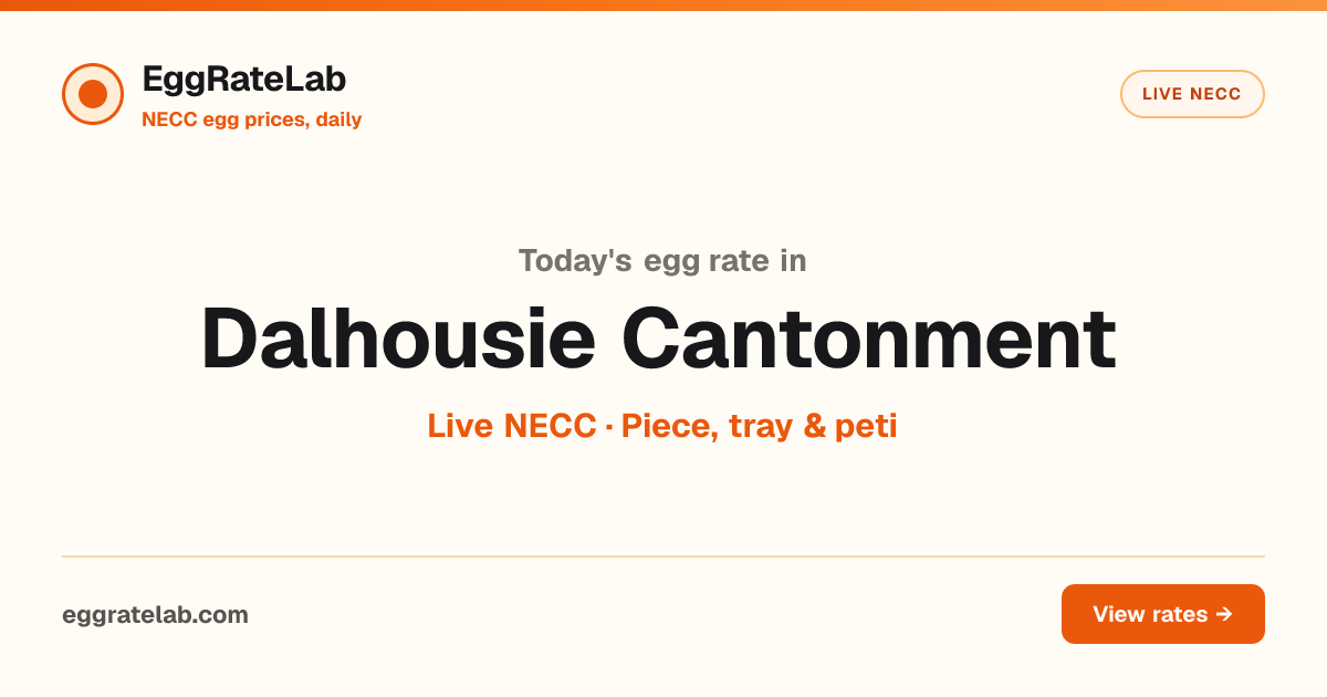 Today Egg Rate in Dalhousie Cantonment: Live NECC Egg Price