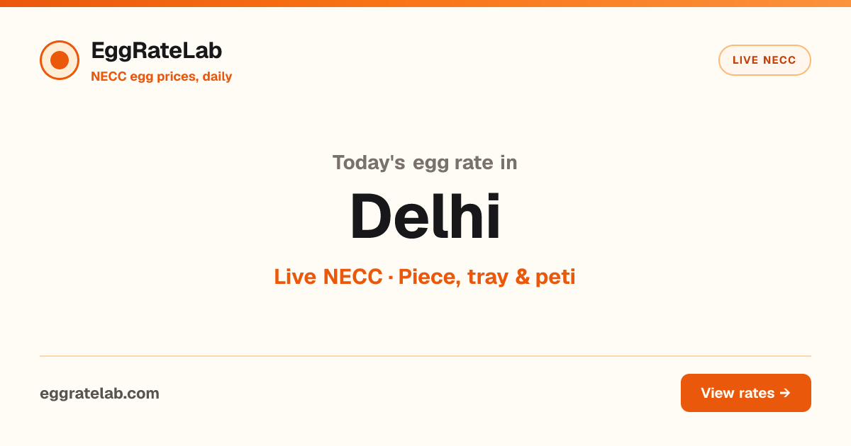Today Egg Rate in Delhi: Live NECC Egg Price