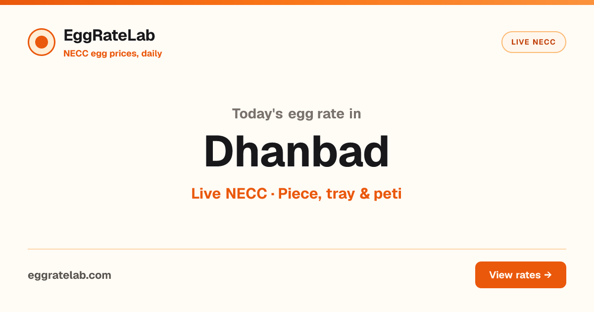 Today Egg Rate in Dhanbad: Live NECC Egg Price