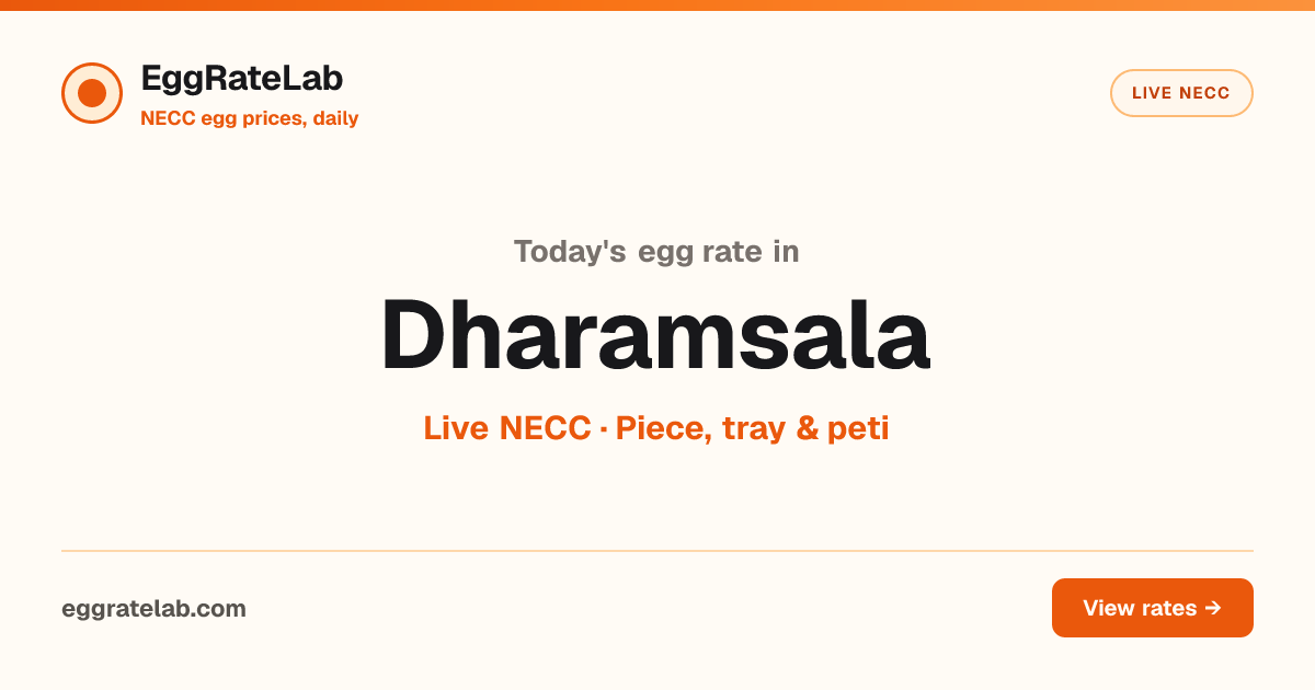 Today Egg Rate in Dharamsala: Live NECC Egg Price