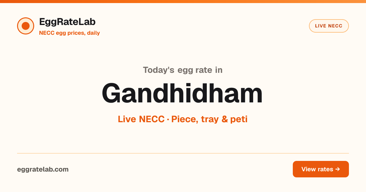 Today Egg Rate in Gandhidham: Live NECC Egg Price