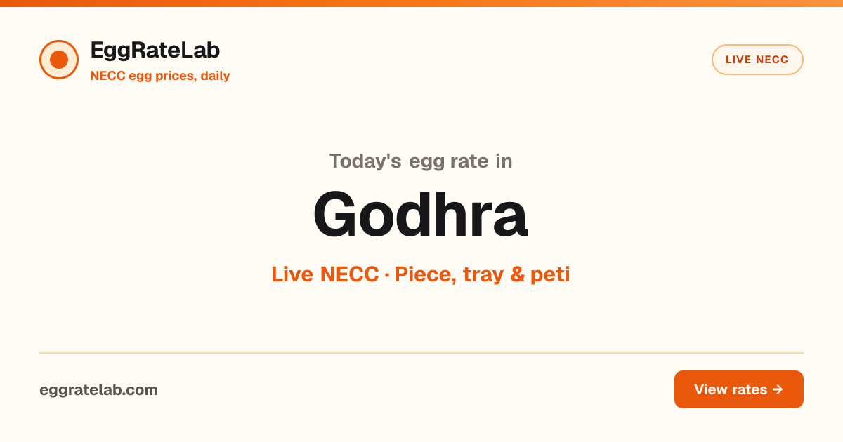 Today Egg Rate in Godhra: Live NECC Egg Price