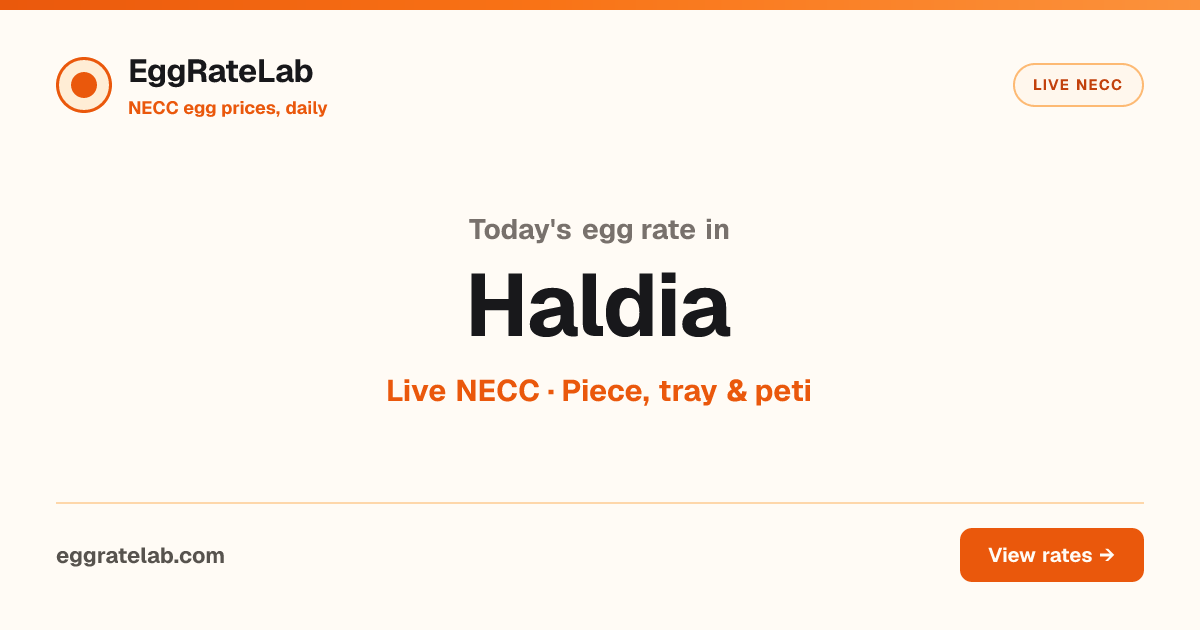 Today Egg Rate in Haldia: Live NECC Egg Price