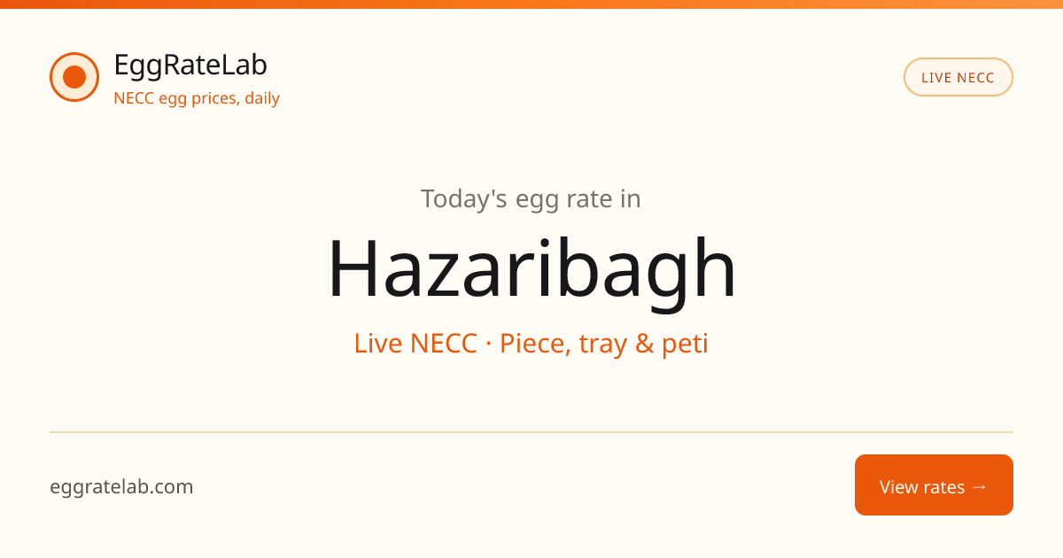 Today Egg Rate in Hazaribagh: Live NECC Egg Price