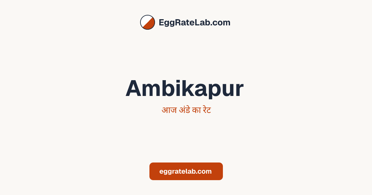 आज Ambikapur में अंडे का रेट - लाइव बाजार कीमतें और रुझान