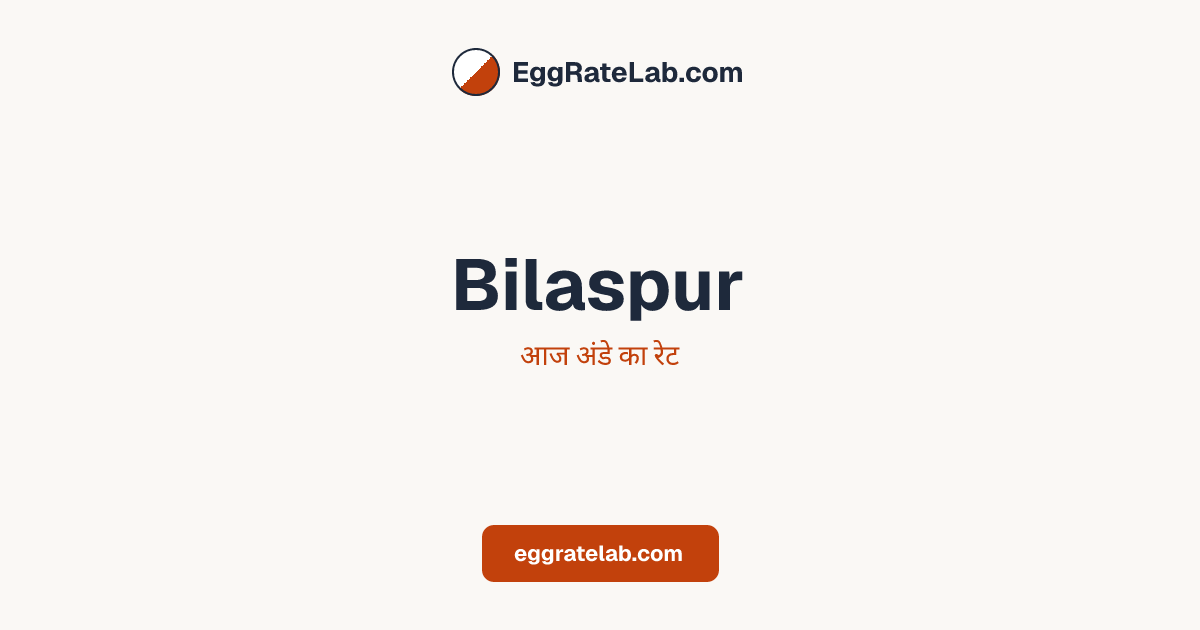 आज Bilaspur में अंडे का रेट - लाइव बाजार कीमतें और रुझान