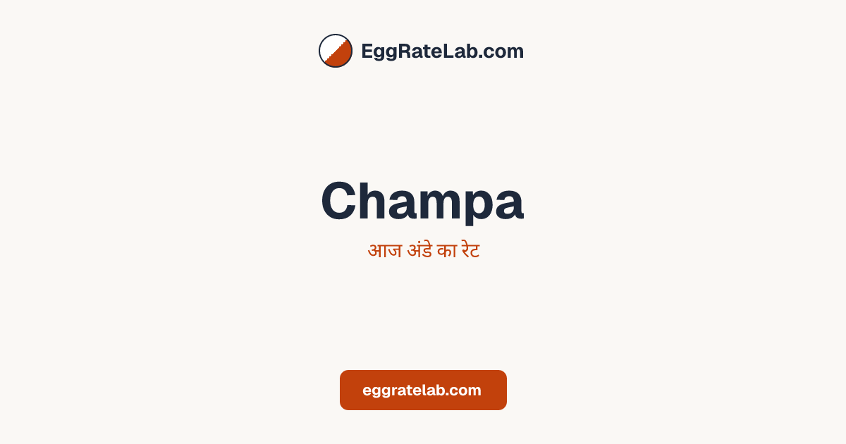 आज Champa में अंडे का रेट - लाइव बाजार कीमतें और रुझान