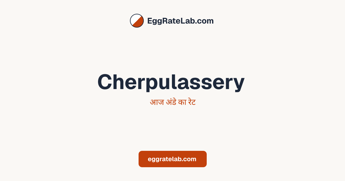 आज Cherpulassery में अंडे का रेट - लाइव बाजार कीमतें और रुझान