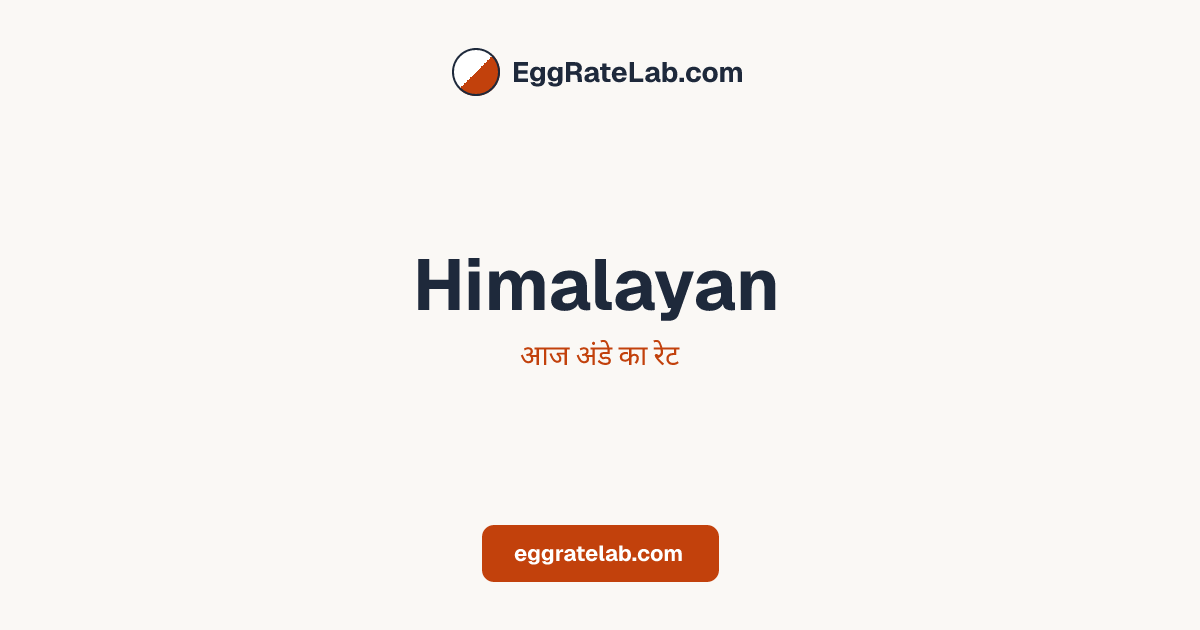 आज Himalayan में अंडे का रेट - लाइव बाजार कीमतें और रुझान