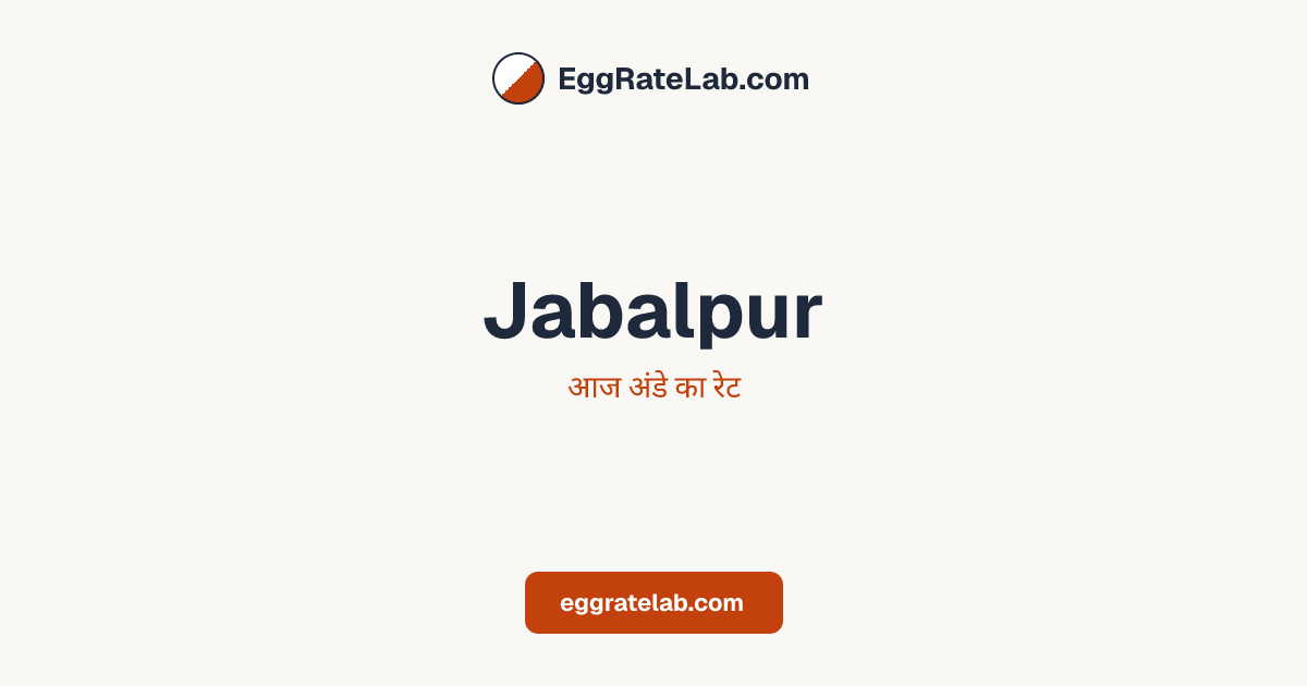 आज Jabalpur में अंडे का रेट - लाइव बाजार कीमतें और रुझान