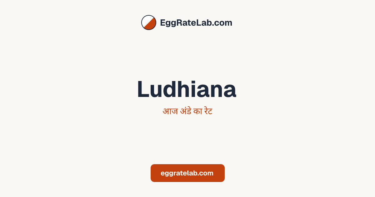 आज Ludhiana में अंडे का रेट - लाइव बाजार कीमतें और रुझान