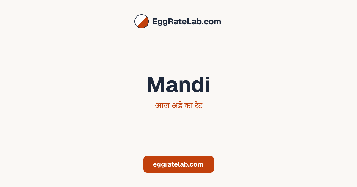 आज Mandi में अंडे का रेट - लाइव बाजार कीमतें और रुझान
