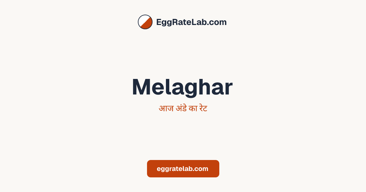 आज Melaghar में अंडे का रेट - लाइव बाजार कीमतें और रुझान