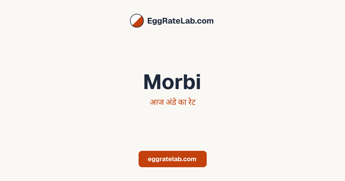 आज Morbi में अंडे का रेट - लाइव बाजार कीमतें और रुझान