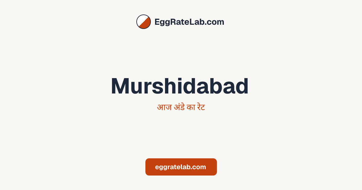 आज Murshidabad में अंडे का रेट - लाइव बाजार कीमतें और रुझान