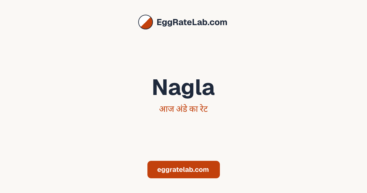 आज Nagla में अंडे का रेट - लाइव बाजार कीमतें और रुझान
