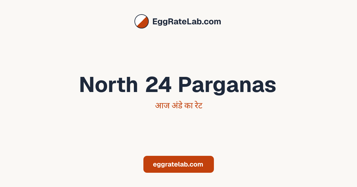 आज North 24 Parganas में अंडे का रेट - लाइव बाजार कीमतें और रुझान