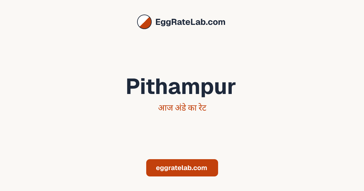 आज Pithampur में अंडे का रेट - लाइव बाजार कीमतें और रुझान