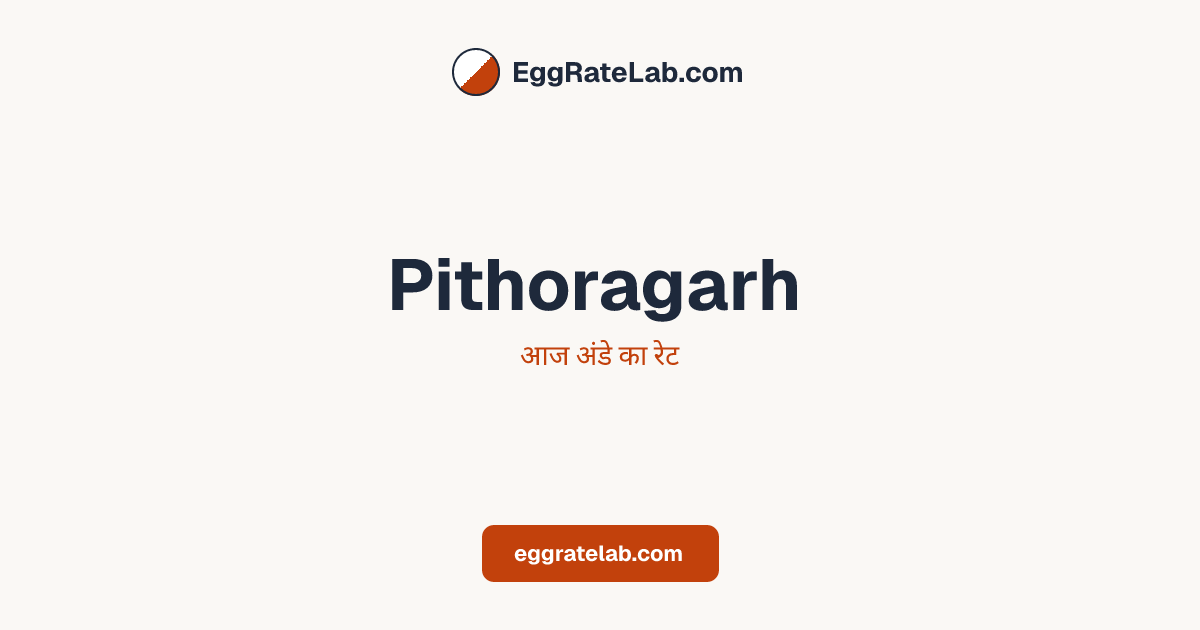 आज Pithoragarh में अंडे का रेट - लाइव बाजार कीमतें और रुझान