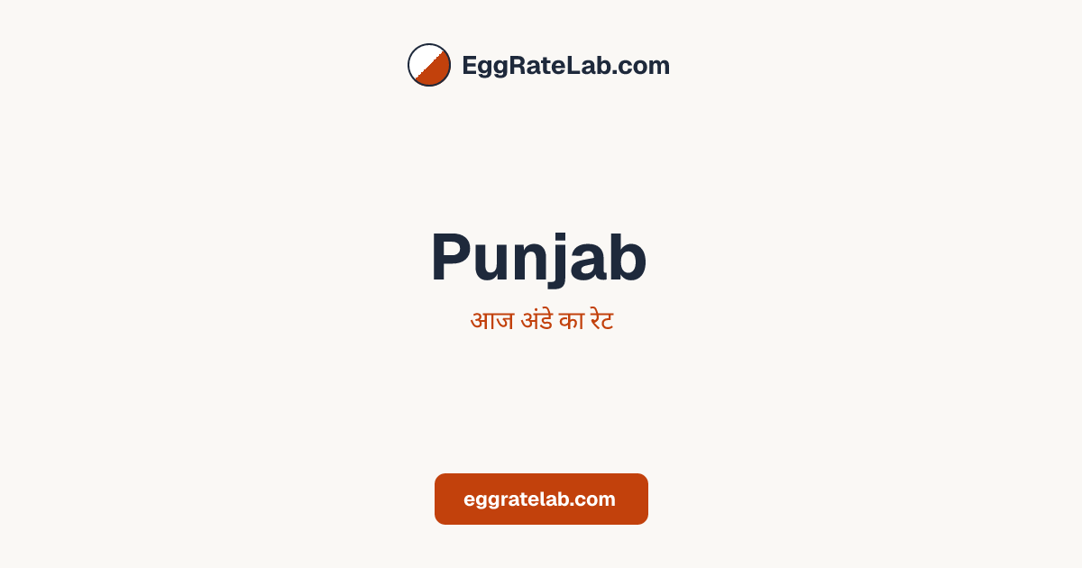 आज Punjab में अंडे का रेट - लाइव बाजार कीमतें और रुझान