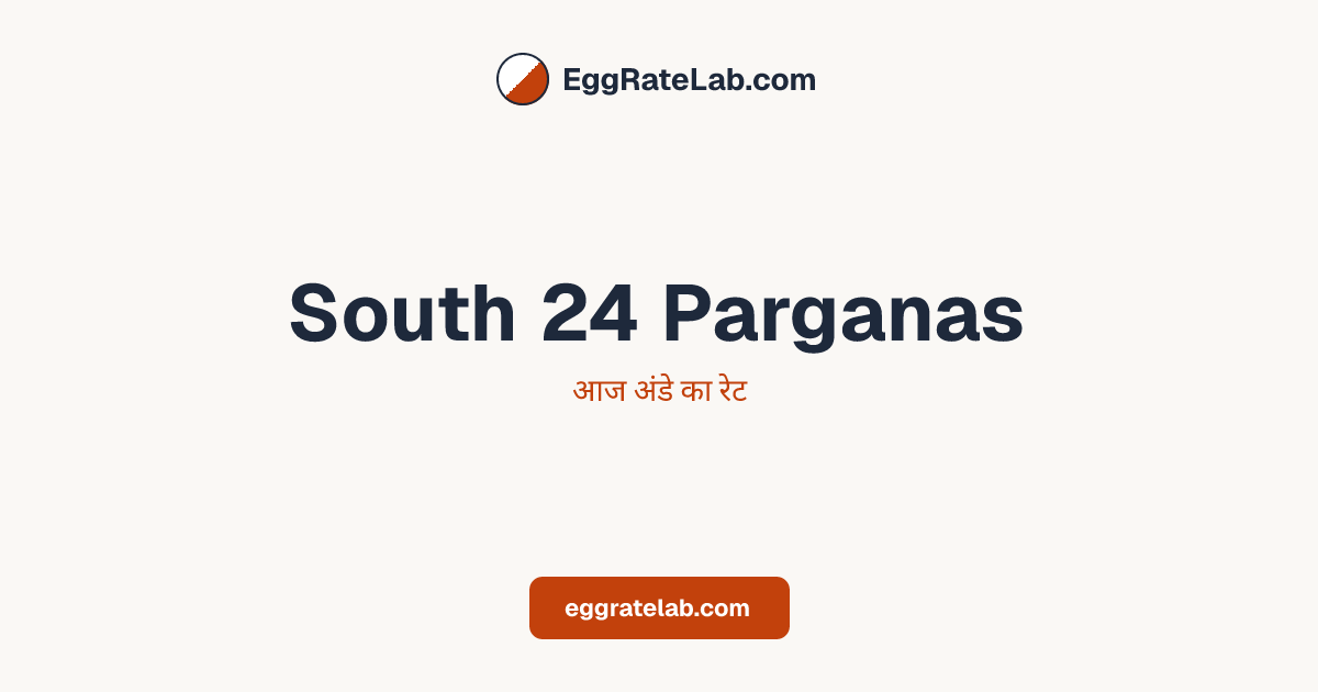 आज South 24 Parganas में अंडे का रेट - लाइव बाजार कीमतें और रुझान