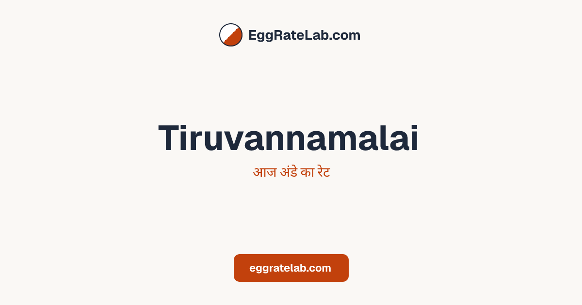 आज Tiruvannamalai में अंडे का रेट - लाइव बाजार कीमतें और रुझान