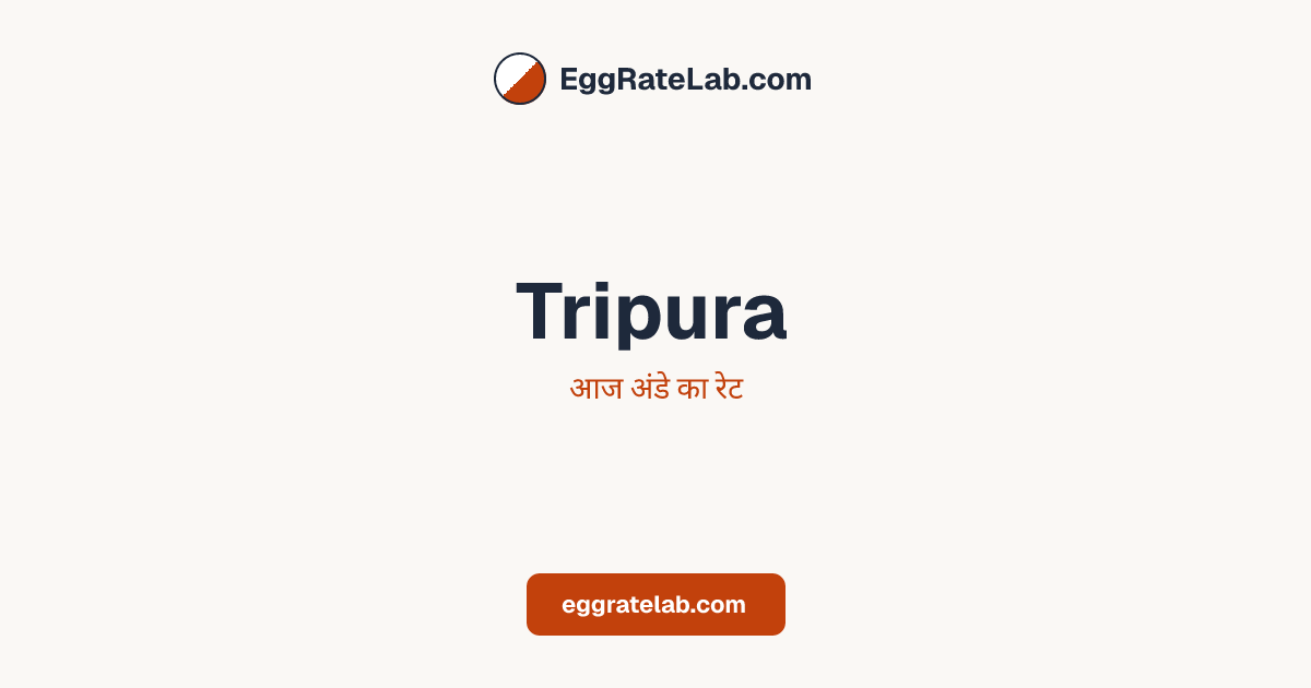 आज Tripura में अंडे का रेट - लाइव बाजार कीमतें और रुझान