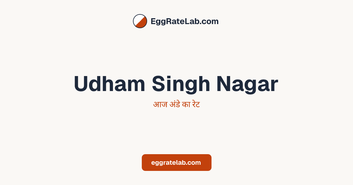 आज Udham Singh Nagar में अंडे का रेट - लाइव बाजार कीमतें और रुझान