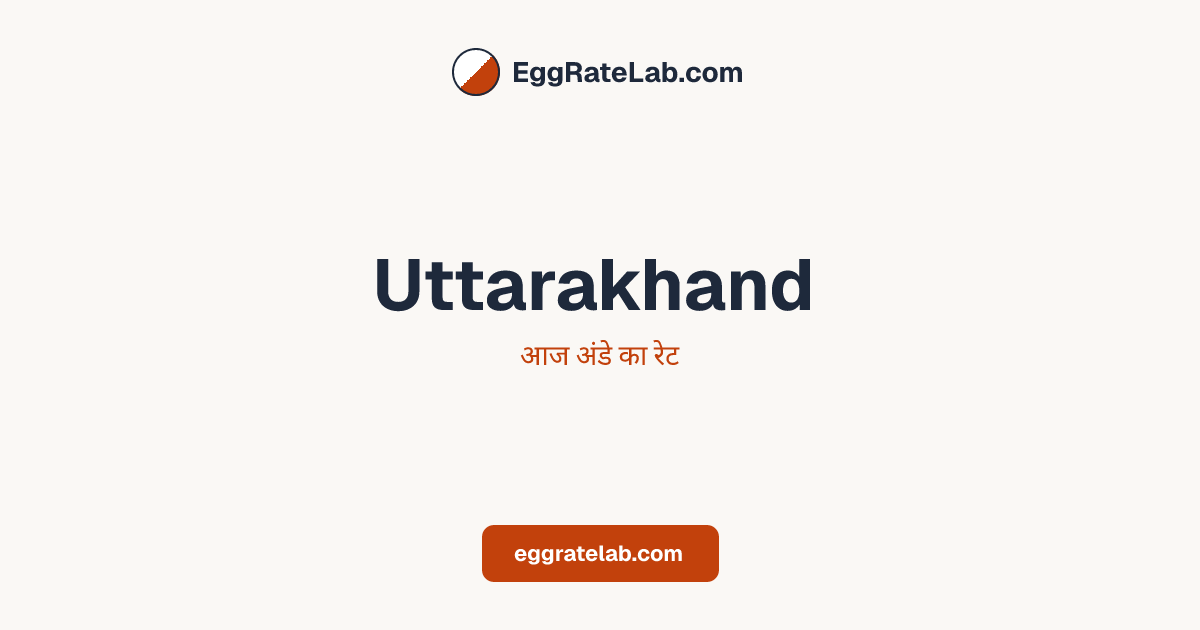 आज Uttarakhand में अंडे का रेट - लाइव बाजार कीमतें और रुझान