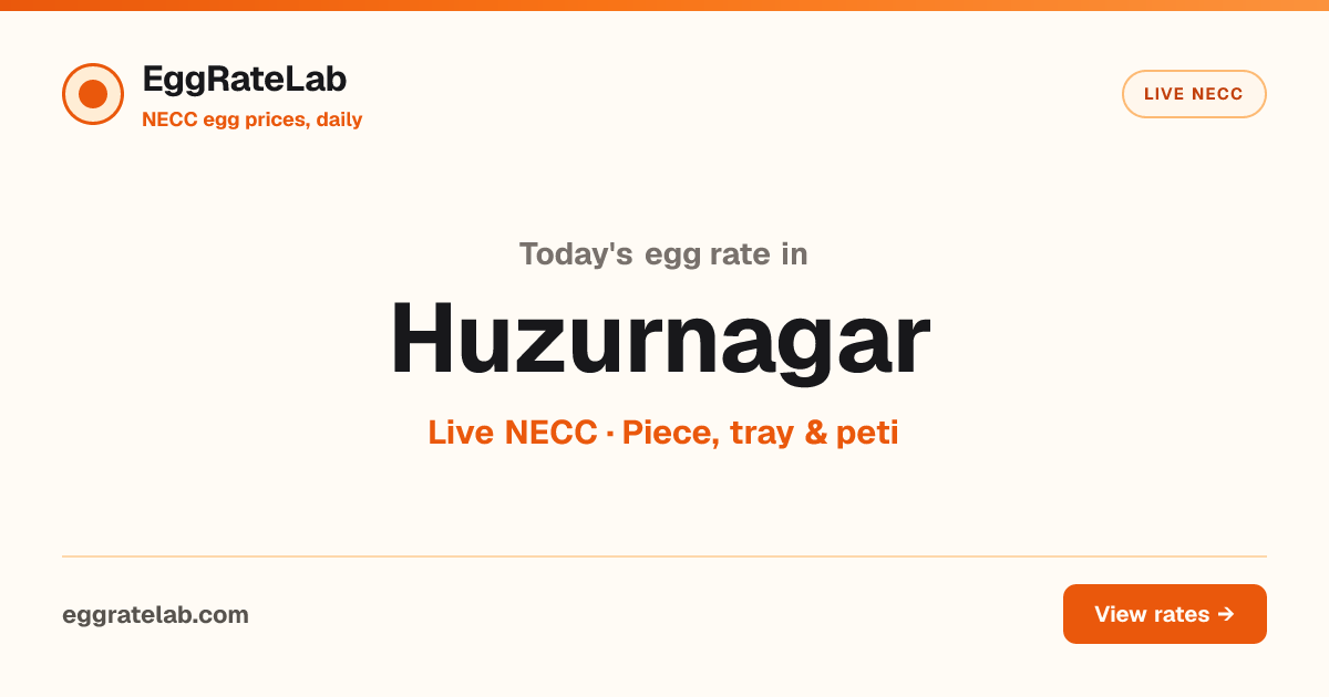 Today Egg Rate in Huzurnagar: Live NECC Egg Price